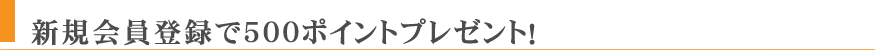 新規会員登録で500ポイントプレゼント！